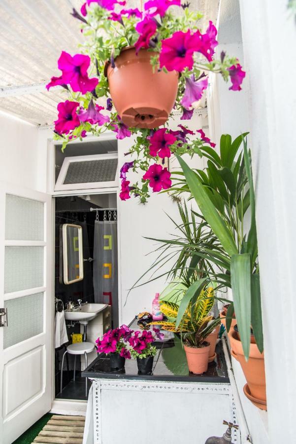 Cosy Flat In City Center Ponta Delgada  Luaran gambar